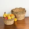 Isidore Water Hyacinth Storage Baskets, Round Woven Set of 3,
