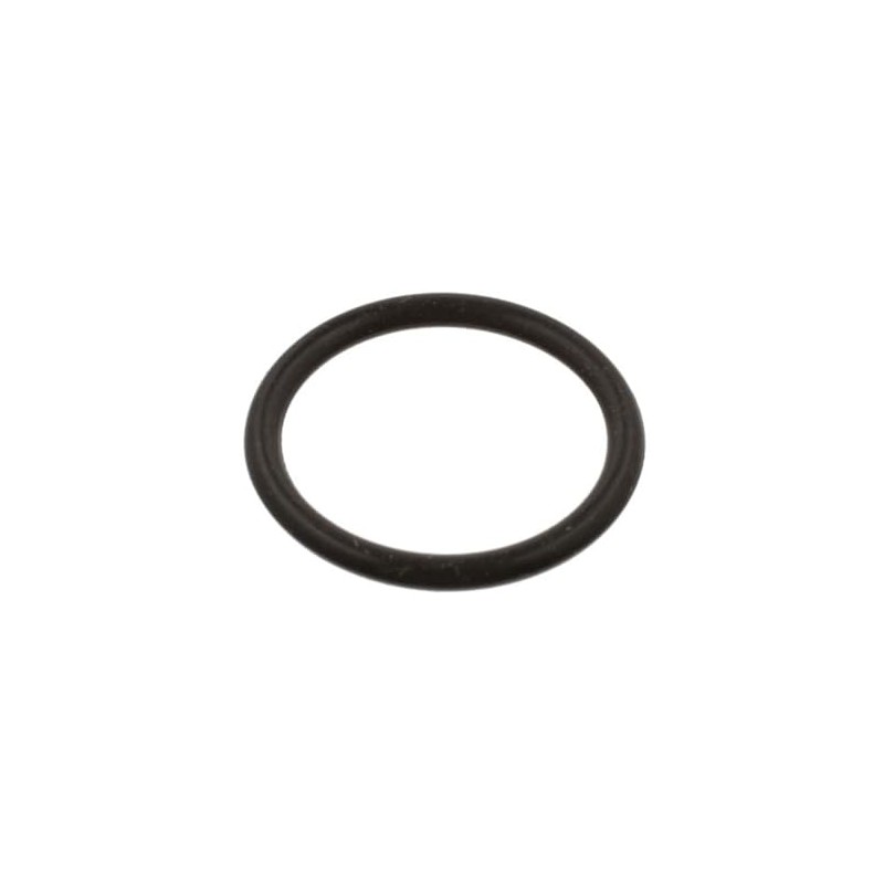Febi 39732 O-Ring Fuel Filter