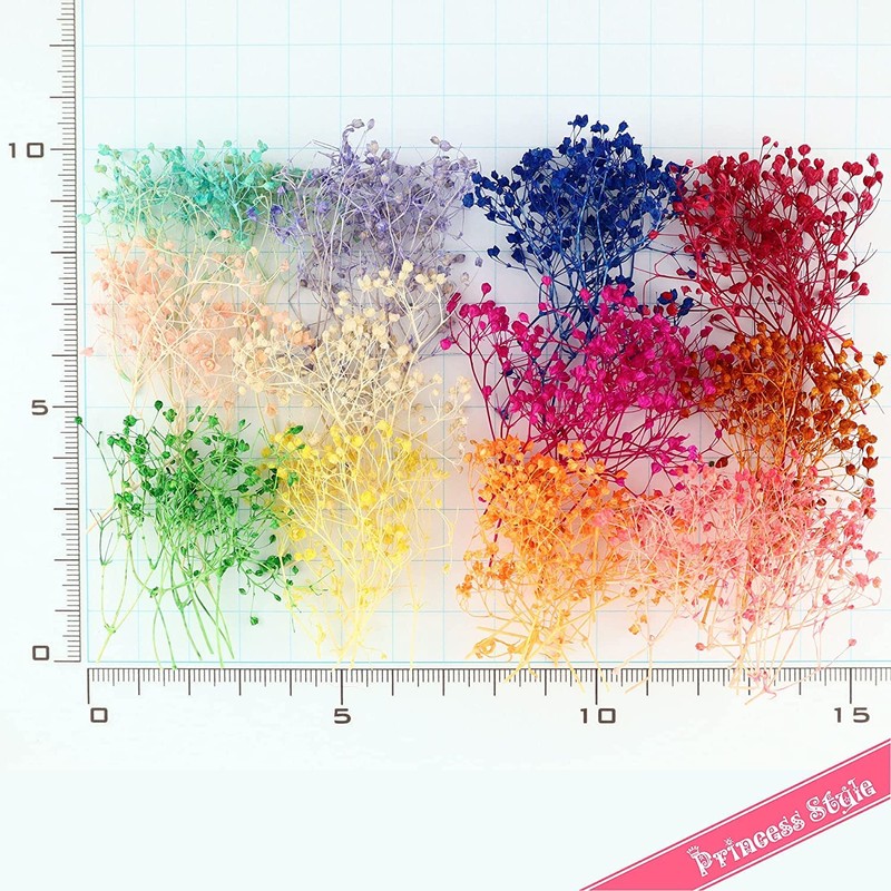 Mini Baby's-Breath Dried Flowers