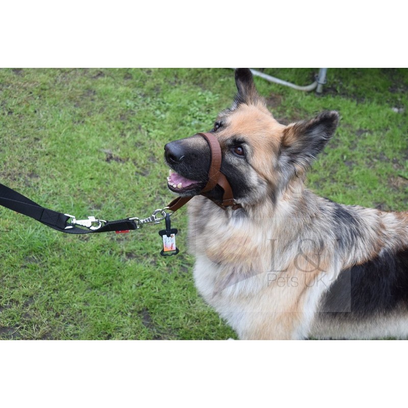 Headcollar Dog Halter/Training Head Collar Training Tool Dog, Head Harness