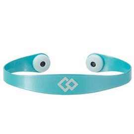 Colantotte Magtitan Color Palette