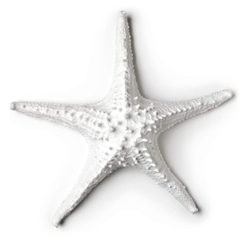 Abbott Collection 20-SEASHORE/25 Large White 3D Starfish Decorative Resin Figurine