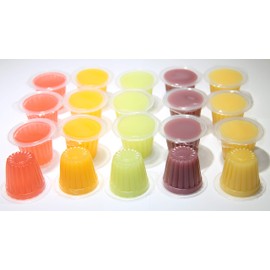 Online Reptile Shop Jelly Fruit Pots Reptile Food - Protein Jelly Fruit Cups for Lizards, Gecko, Insects, Birds, Parrots - Bulk Packs (Fruit Mix, 20)