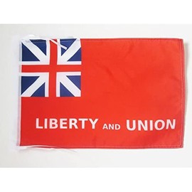 Taunton Liberty and Union Flag 18'' x 12'' cords - Liberty and Union SMALL flags 30 x 45cm - Banner 18x12 in - AZ FLAG