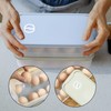 Pack of 2 Egg Box, Egg Container, Fridge Egg Container