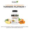 Renew Actives Turmeric Platinum - Antioxidant Source & Liver Protectant