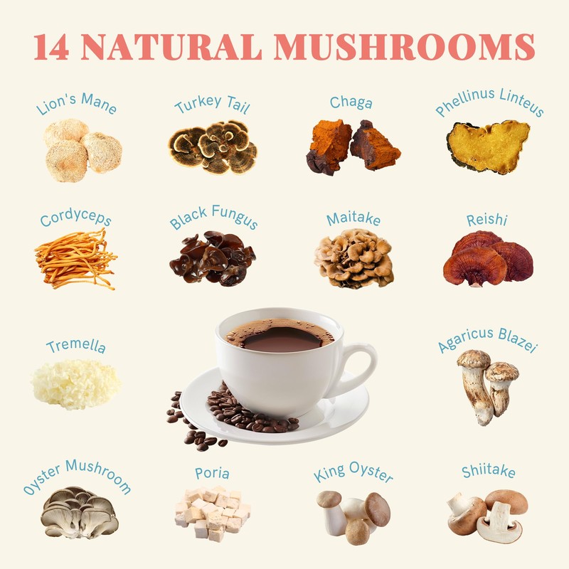 Decaf Mushroom Coffee, Instant Coffee Mix, 80 Servings | Sugar-Free,
