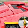 Formula 1 Fast Wax Carnauba Detailing Spray – Car Wax