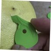 Ciieeo Peelers 100pcs Fruit Opener Set Peeler The Skin Off