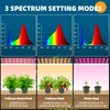 Barrina Grow Lights for Indoor Plants, 20W (2 x 10W)