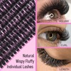 FREEORR 240Pcs Fluffy Lash Cluster, 200D Thick Volume Eyelash Clusters,