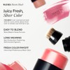 NUDESTIX Nudies Bloom All Over Dewy Color – 3-in-1 Cream