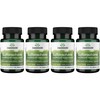 Swanson Sulforaphane - Broccoli Sprout Extract Supporting Cellular, GI Tract,
