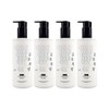 [Home Shopping Latest Award] Princess Buoyant Shampoo 500ml 4 x Volume Booster / [홈쇼핑 최신상] 가히 공주부양 샴푸 500ml 4개 볼륨 부스터