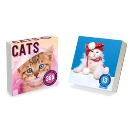 TF PUBLISHING 2025 Cat A Day Daily Desktop Calendar - Home and Office Organization - Over 300 Full-Color Easy Tear-Off Pages - Attached Fold-Out Cardboard Easel for Desks - 5.25” x 5.25”
