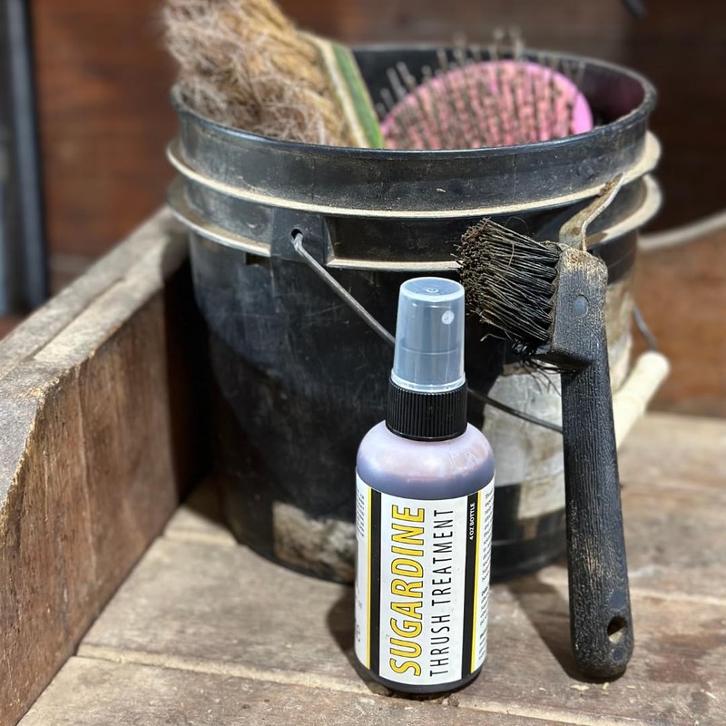 B Gone Sugardine Thrush Treatment - for Equestrians, Horses with