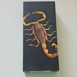 BLACK SCORPION Genuine INSECT Desktop Lucite Paperweight  Paper Weight  Large