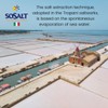 SOSALT DAL MARE DI TRAPANI Coarse Natural Sea Salt, 4