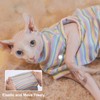 Sphynx Hairless Cats Rainbow Stripe Cat T-Shirts, Turtleneck Sweater, Pullover