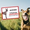 Xoloitzcuintle Freilauf Dog Sign Saying Door Sign Dog Sign Warning