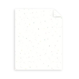 Astrobrights Mega Collection, Colored Cardstock, Bright Confetti White, 320 Sheets, 65 lb/176 gsm, 8.5" x 11" - MORE SHEETS! (91683)