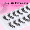 Veleasha Natural Lashes Wispy Eyelashes Soft False Eyelashes with Clear