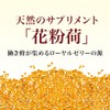 Yamada Apiary Pollen Package, 120 Capsules, Bottle, Pollen, Vitamins, Minerals,