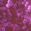 Stargazer Biodegradable Chunky Glitter Shaker - Fushia. Festival Friendly Biodegradable