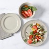 Martha Stewart Portillo 12 Piece Reactive Stoneware Dinnerware Set -