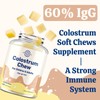 Bovine Colostrum Chews Supplement with 60% IgG for Humans Women