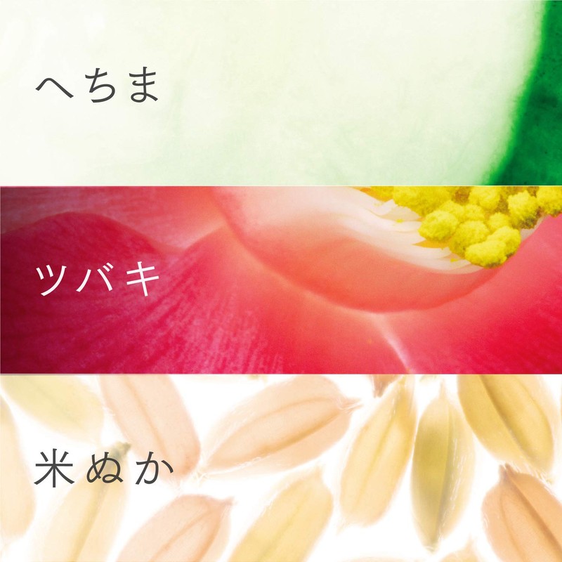 Ichikami Natural Care Select Smooth Treatment Pump, 16.9 oz (480