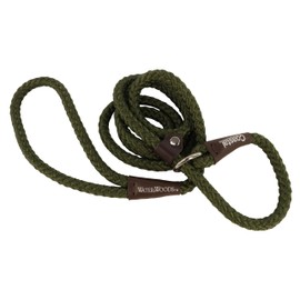 Water & Woods Braided Rope Dog Slip Leash by Coastal Pet - Heavy-Duty Dog Leash - Comfortably Accommodate Various Sizes - Green, 1/2" x 6'