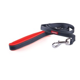 Kazoo 11409 Active Nylon Dog Lead, Slate/Orange