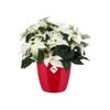 elho Brussels Diamond Round 18 - Flower Pot Indoor -