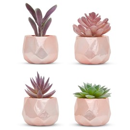 Nordik - Set de 4 plantas de escritorio en oro rosa - Decoración de interiores para mujer, para oficina, sala, recámara, hogar y escritorio - Suculentas artificiales en macetas geométricas de cerámica