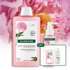 Klorane Peony Shampoo 400ml + Serum 100ml (+ Shampoo 100ml