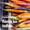 Yellow Carrot Garden Seeds - 1 g ~600 Seeds -