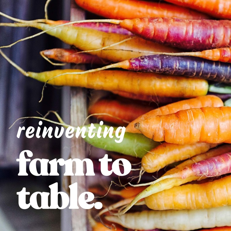 Yellow Carrot Garden Seeds - 1 g ~600 Seeds -