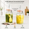 Glolaurge 1 Gallon Fermentation Jars with Airlocks & Glass Weights,