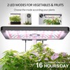 iDOO 12Pods Hydroponics Growing System, Indoor Garden with Grow Light,