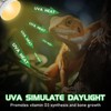 REPTI HOME Reptile Heat Lamp Bulbs, UVA Reptile Heat Bulb
