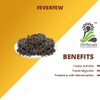 Metrol Metrol Herbaveda- Feverfew herb 200g | for Joint Support