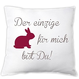 4youDesign Cushion Der einzige Hare für Mich bist DU!, Decorative Cushion, Gift for Valentine's Day, Easter, Easter Gift, Gift Idea, Valentine's Day Gift (Red)