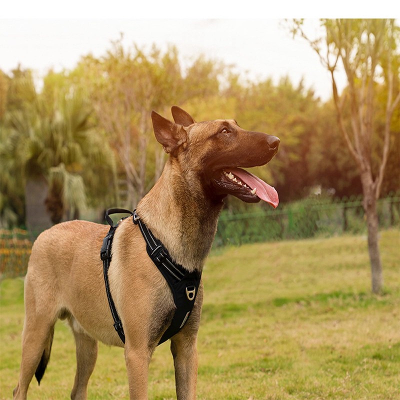 WINHYEPET No-Pull Dog Harness,Adjustable Outdoor Vest Reflective Nylon Soft Pet