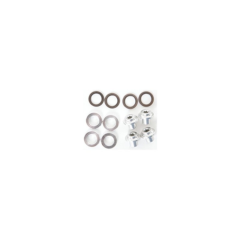 Campagnolo SR/R/CH brake pad fixing nut and washers
