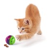 PLATZ PET SUPPLIS&FUN Cat Toy Cat Treat Ball