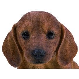 Vivid Arts - Pet Pals Brown Dachshund Puppy Home or Garden Decoration (PP-DCHB-F)