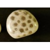 Petoskey Stone Door Knob