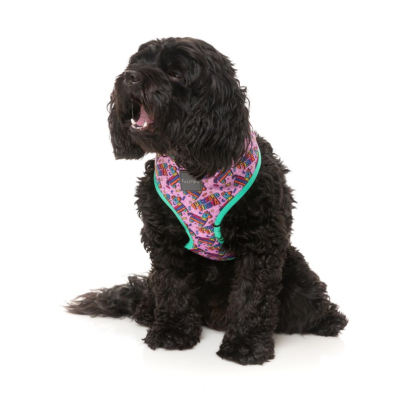 FuzzYard Siesta Fiesta Pinata Harness for Dogs (Large)
