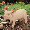 Design Toscano Piggy Garden Statue Porker, Multicolored 6.5"Wx15.5"Dx8.5"H